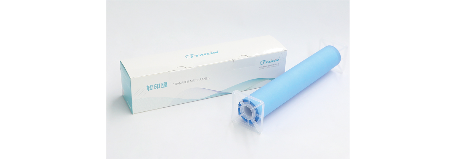 NC轉印膜
